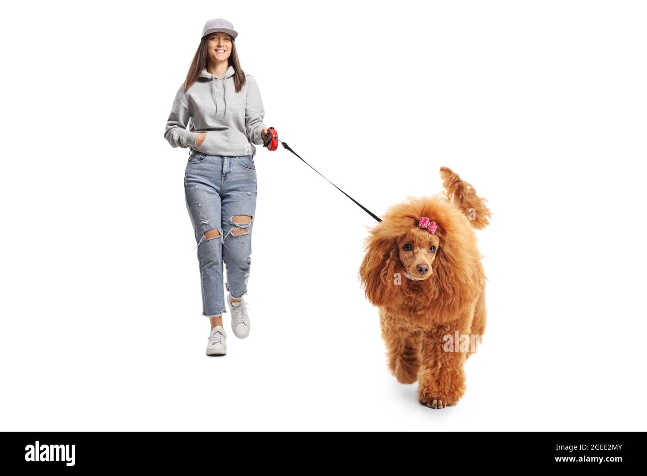 Female teenager walking a red poodle dog isolated on white background Stock Photo