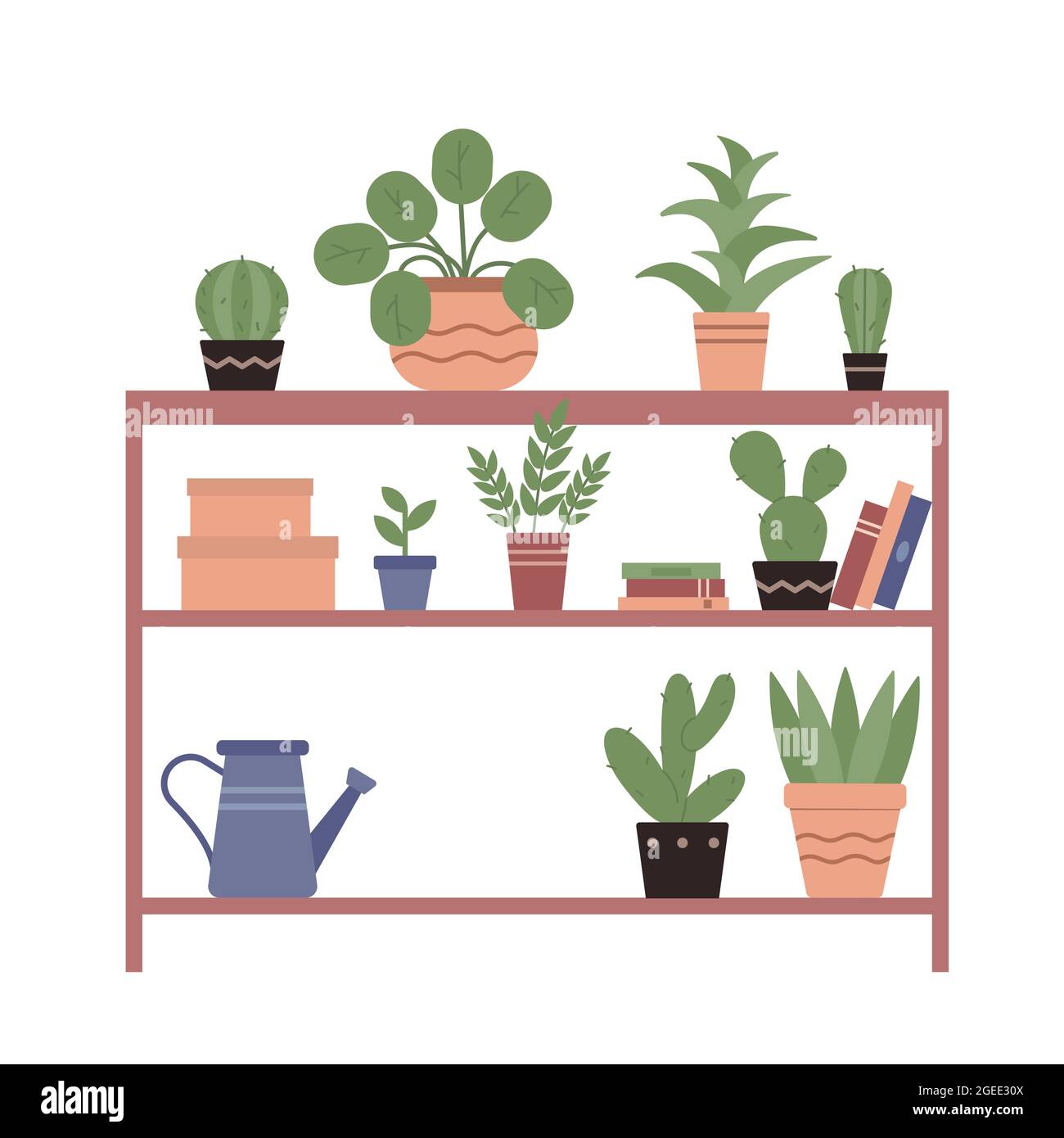 House plants in ceramic pots on wooden shelves of home nature garden vector illustration. Cartoon green houseplants, books, watering can for gardening isolated on white Stock Vector
