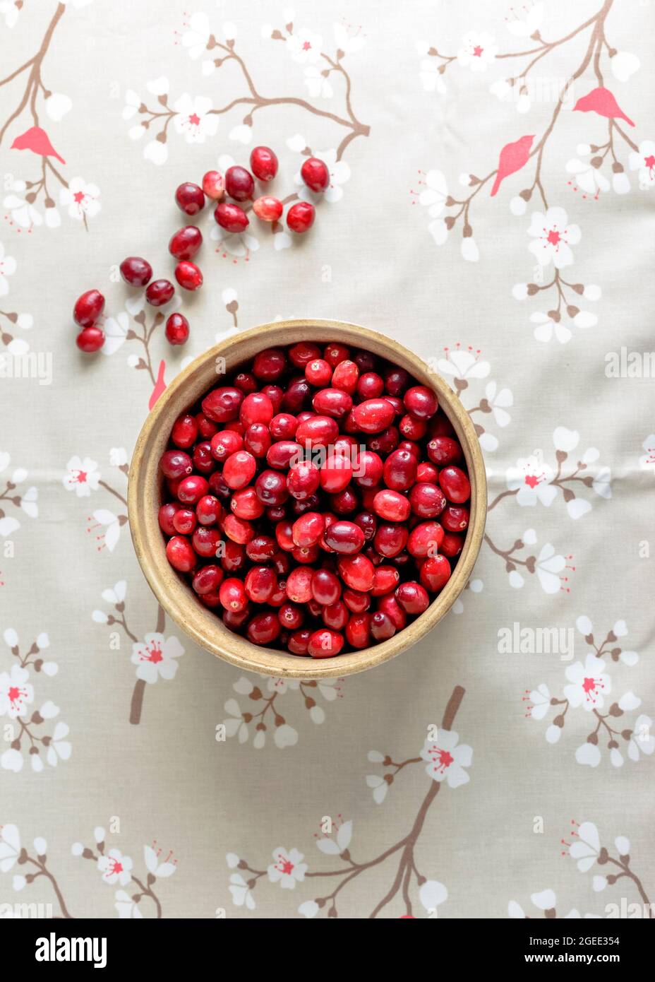 Fresh Cranberries Stock Photo