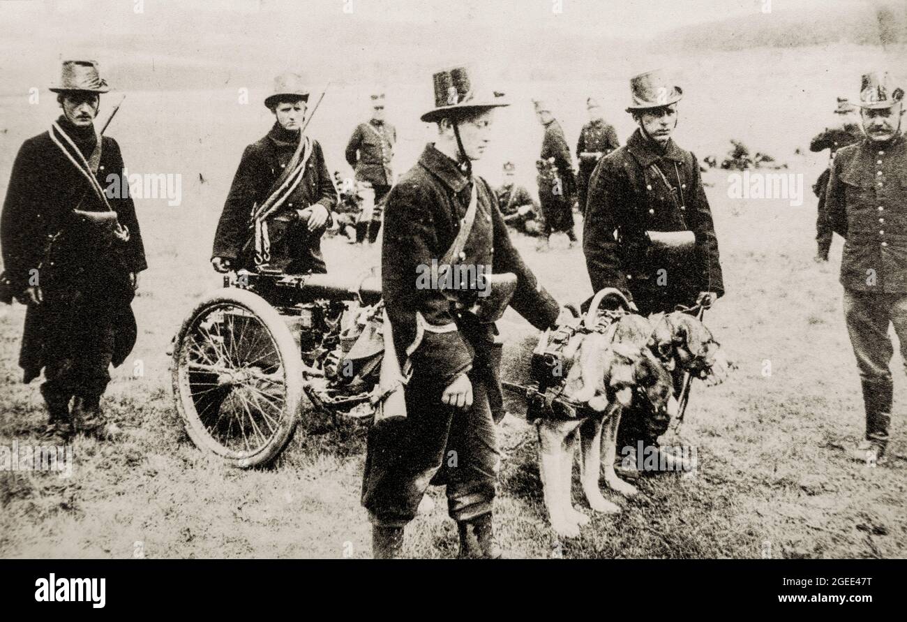 Old photograph showing Belgian carabiniers / WWI light infantry with Maxim machine gun pulled by Belgian Mastiff dogs in 1914 during World War One Stock Photo