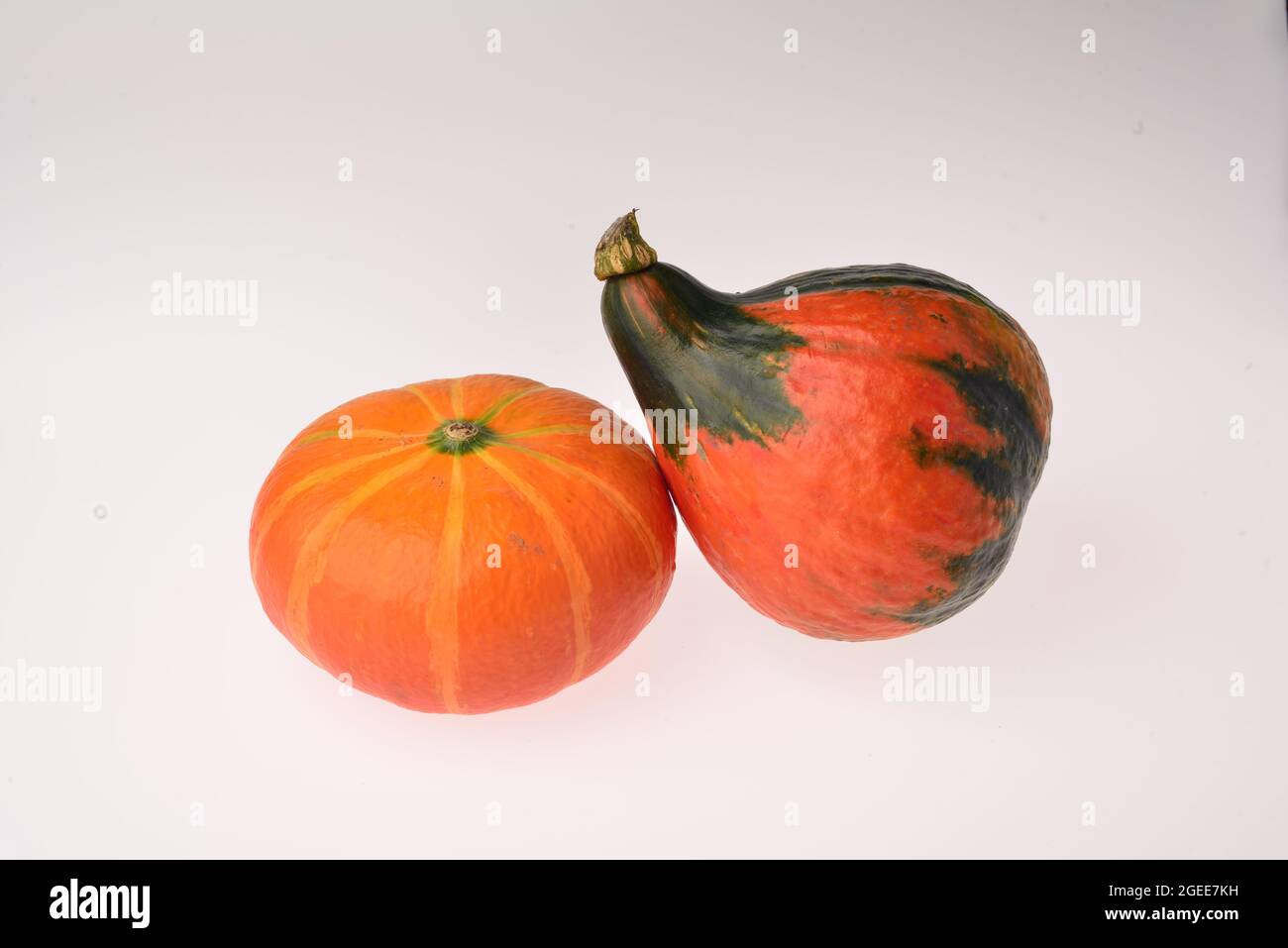 two orange pumpkins isolated on white background. Stock Photo