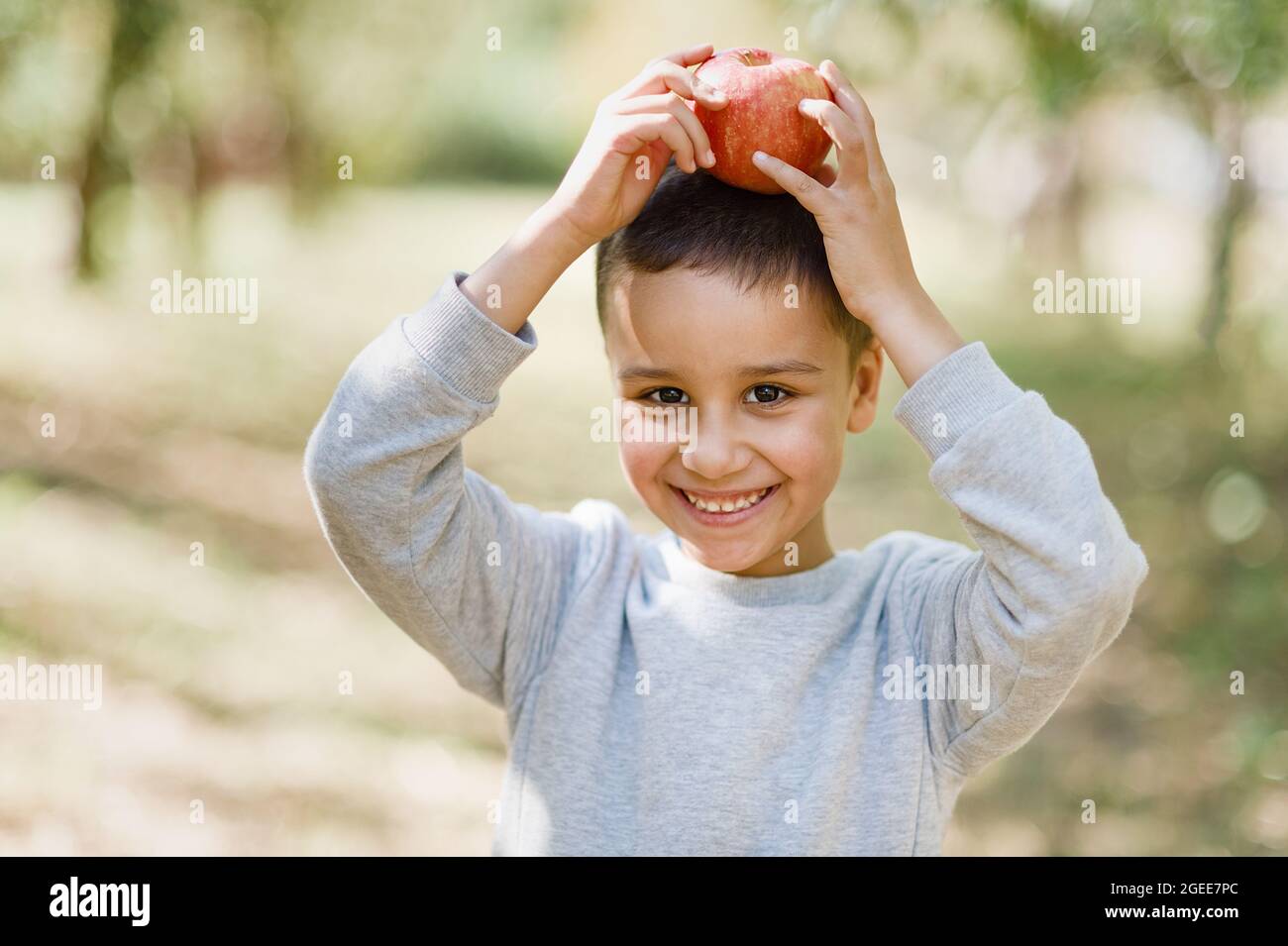 portrait of mixed race boy eating red organic apple outdoor. Harvest Concept. Child picking apples on farm in autumn. Children and Ecology. Healthy nu Stock Photo