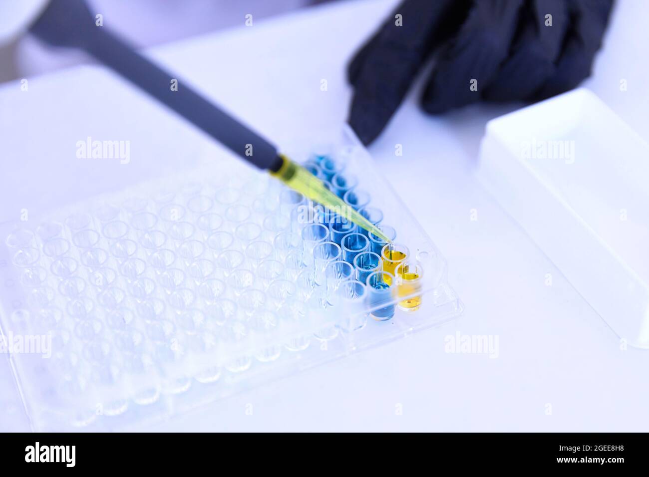Lab Worker Adding Liquid to Test Tubes Stock Photo Alamy