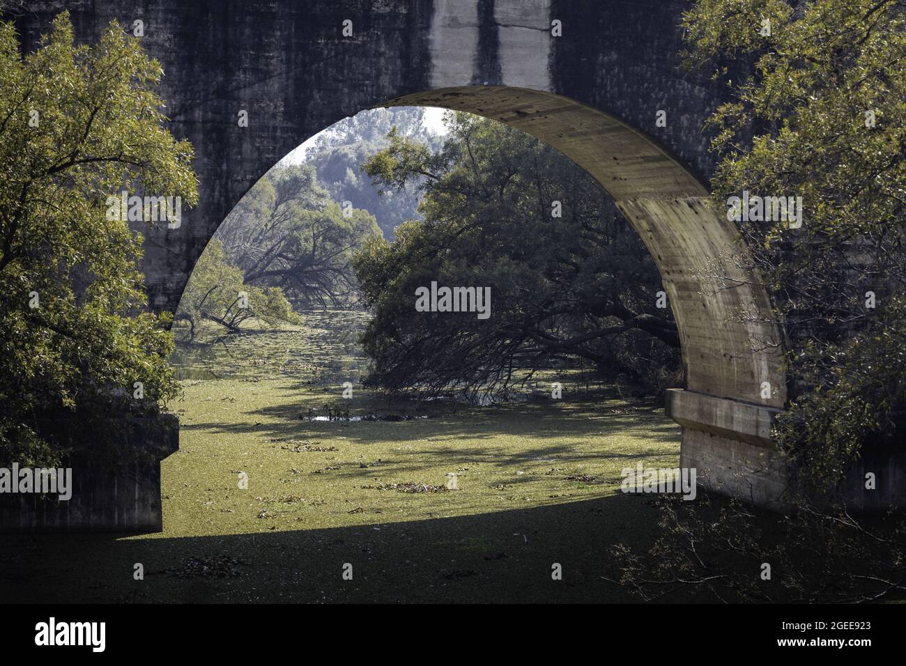 Arch stone bridge over a swamp Stock Photo Alamy