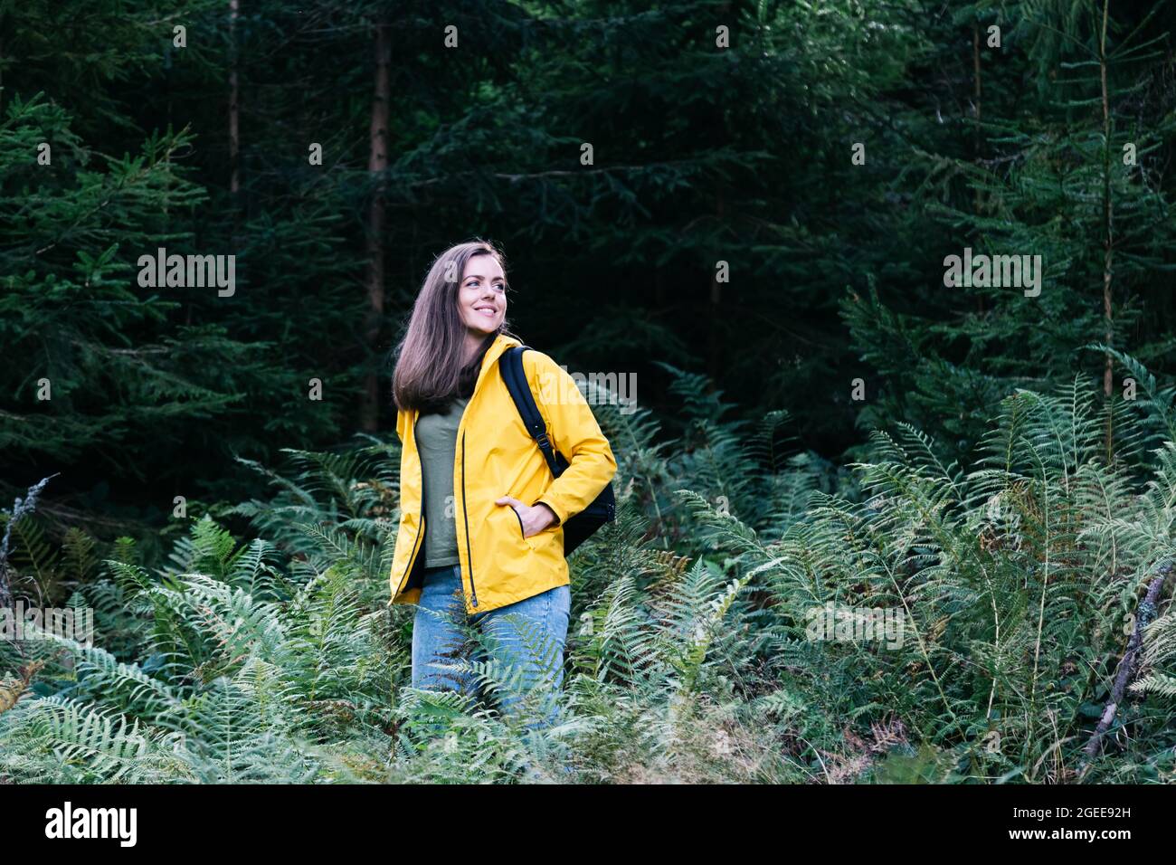 Young woman in yellow raincoat with backpack in forest. Caucasian female tourist resting forest walks. Young woman hiking in forest in backpacking in Stock Photo