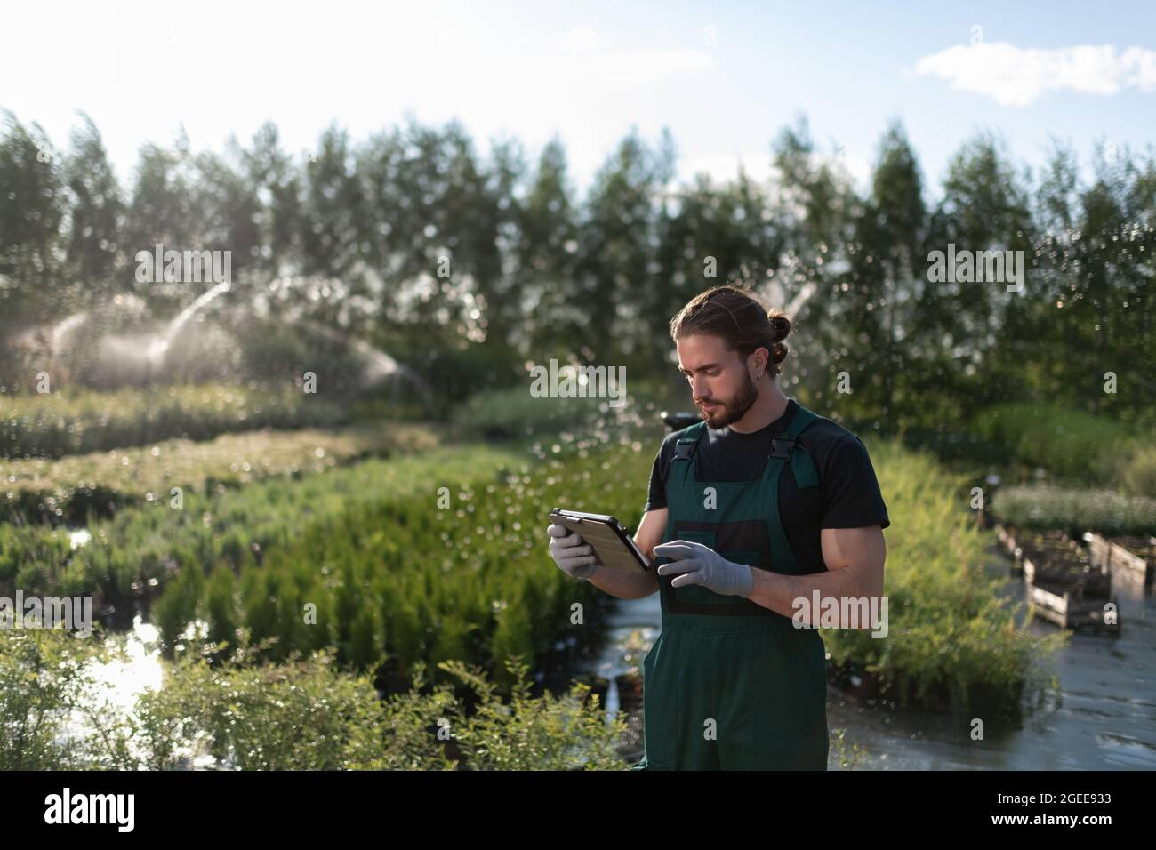 Man using tablet to control irrigation system during work on farm in summer Stock Photo