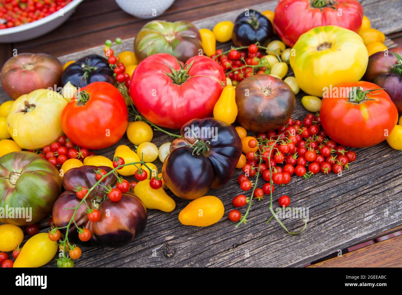Heirloom tomatoes full of colors and taste Stock Photo Alamy