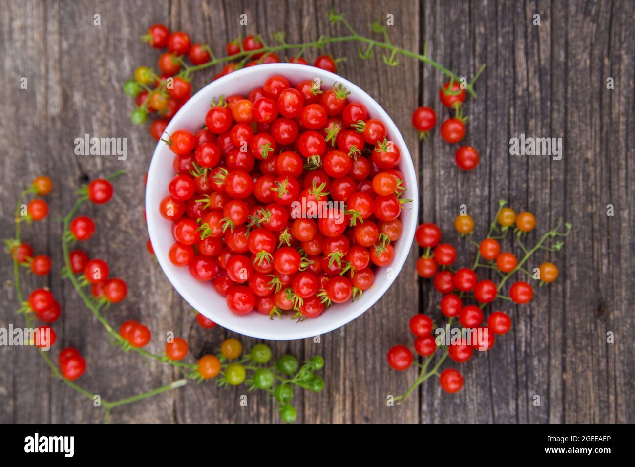 Heirloom tomatoes full of colors and taste Stock Photo Alamy