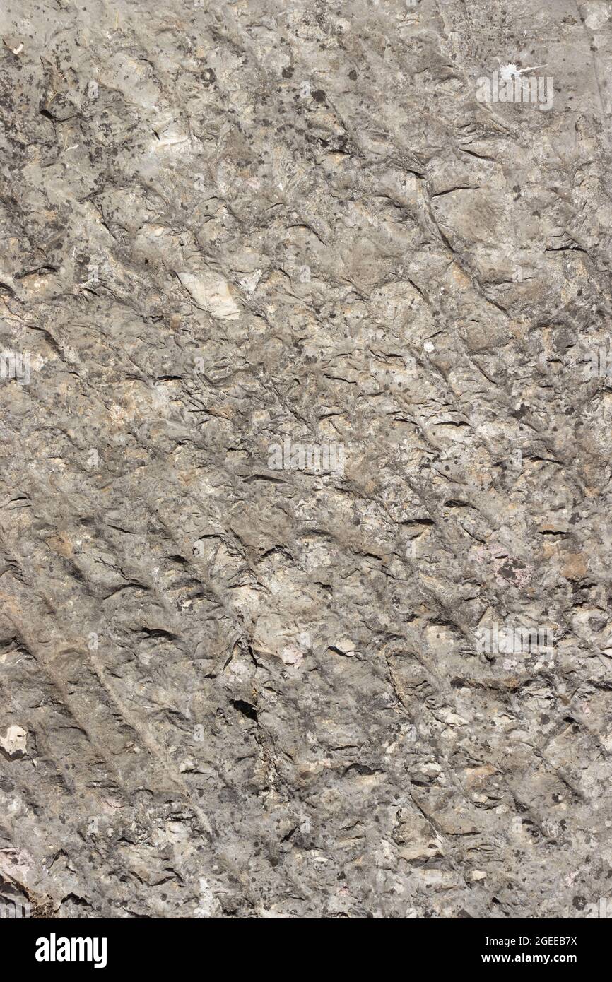 Texture of a cut stone block Stock Photo Alamy