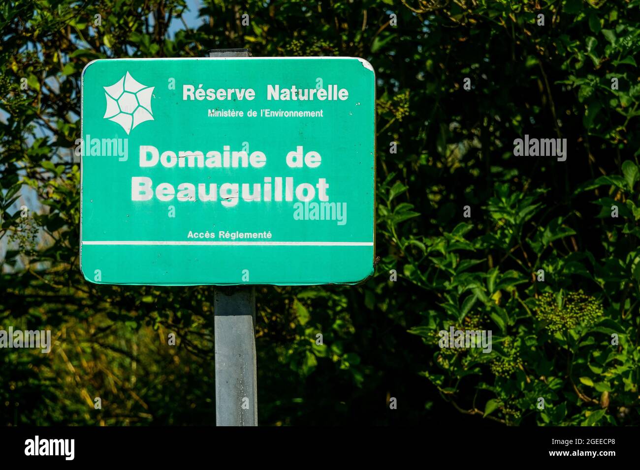 Beauguillot domain, the Swamp - Le Marais, Le Grand Vey, Manche department, Cotentin, Normandy Region, France Stock Photo