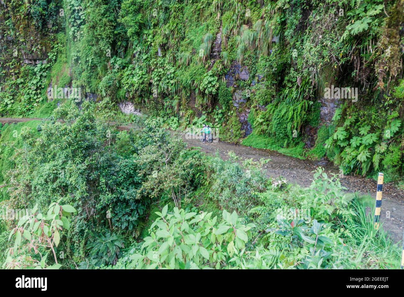 The World S Most Dangerous Road In Bolivia Stock Photo Alamy   The Worlds Most Dangerous Road In Bolivia 2GEEEJT 