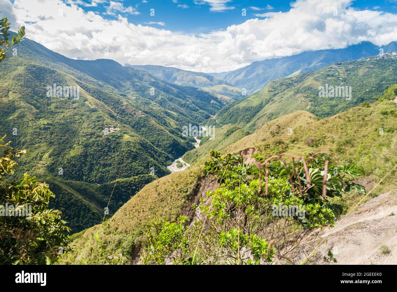 Yungas jungle hi-res stock photography and images - Alamy
