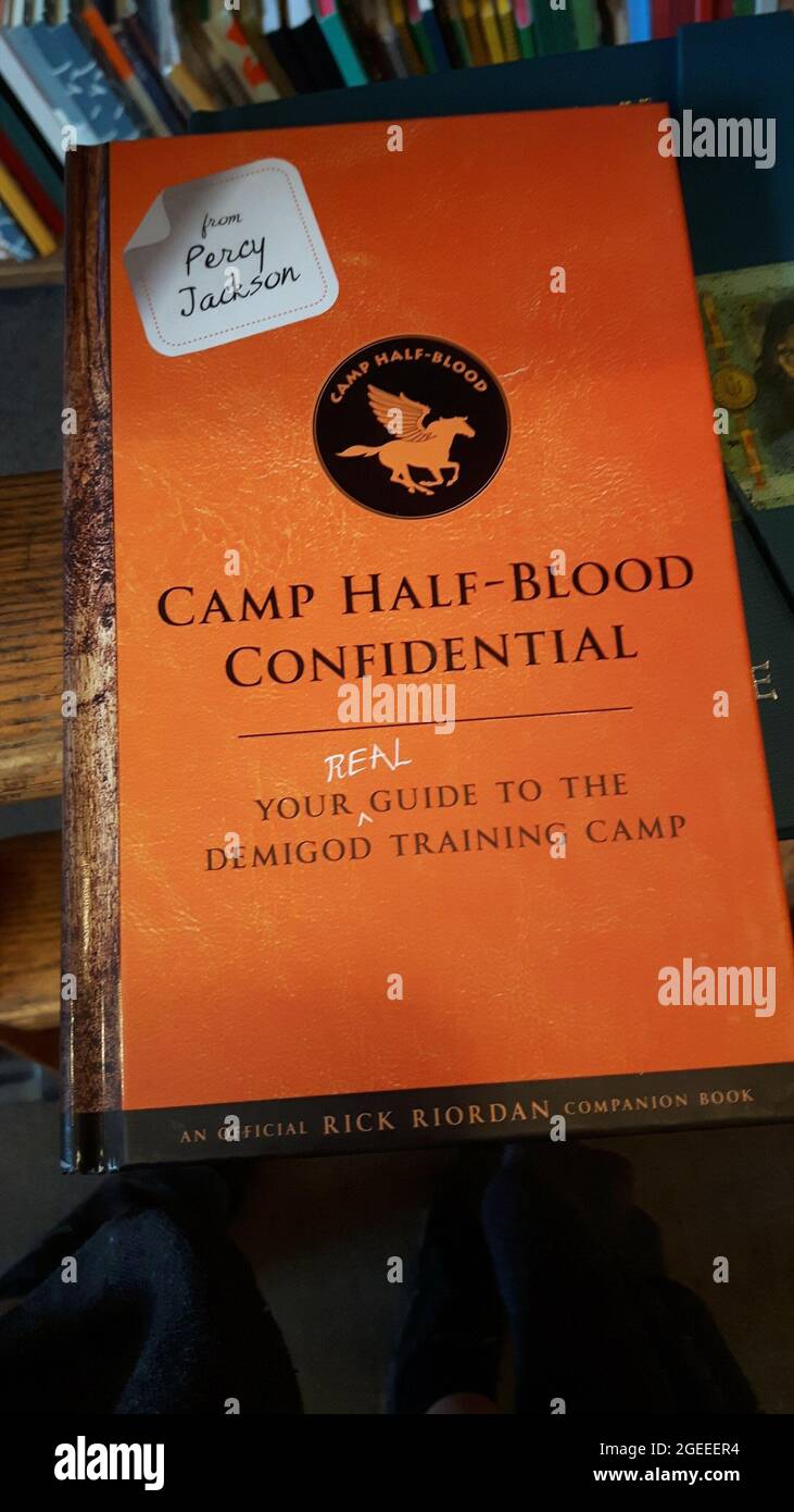 Camp half-blood accurate orange color logo percy jackson