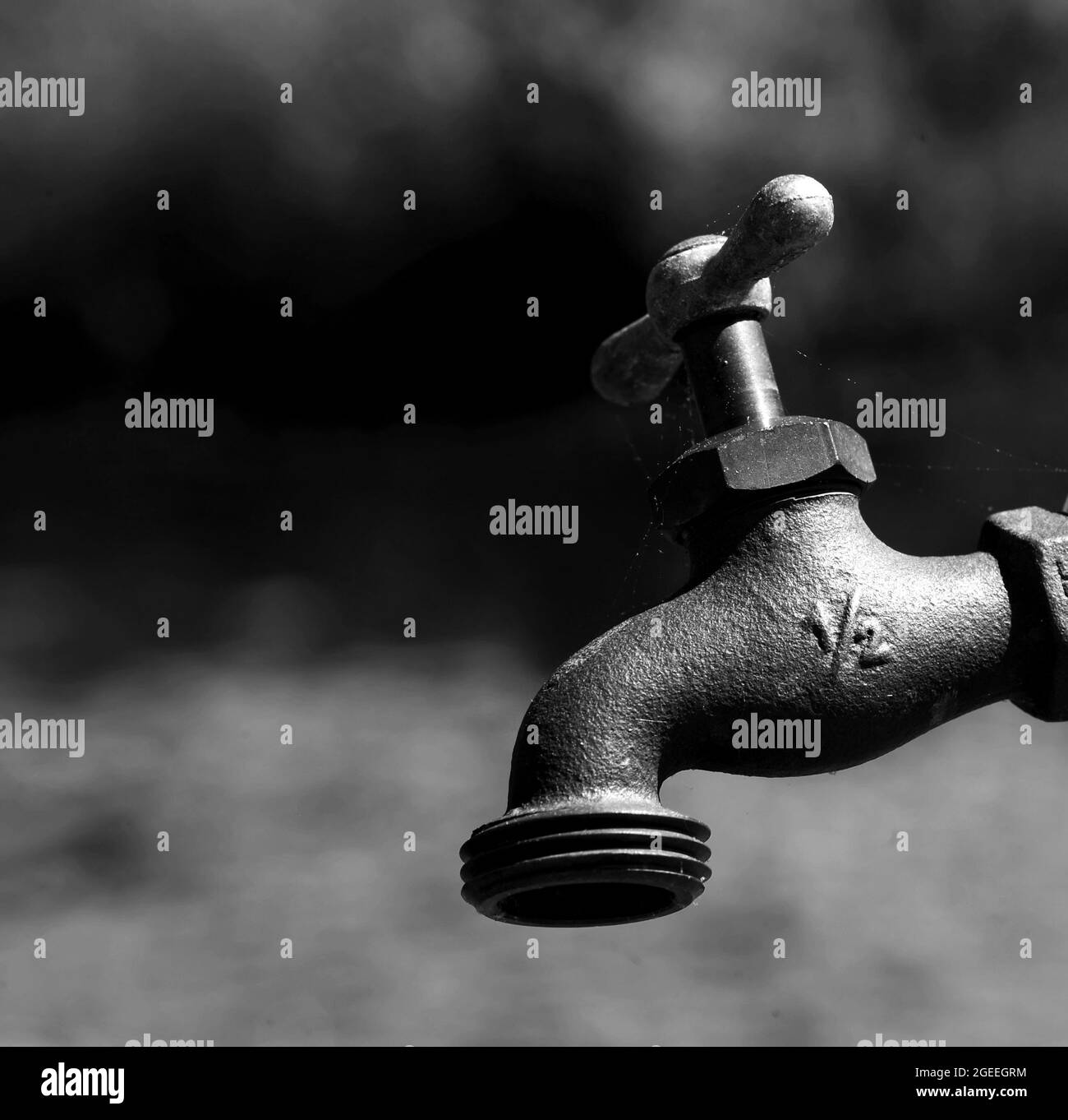 Water faucet has small cobwebs attached to spigot handle. Faucet is