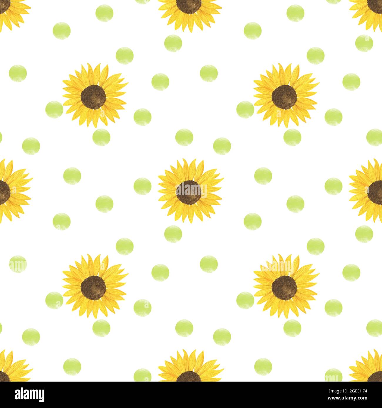 Yellow sunflowers floral diagonal ornament on light green polka dot abstract background seamless pattern, symbol of summer and harvest time period for Stock Photo