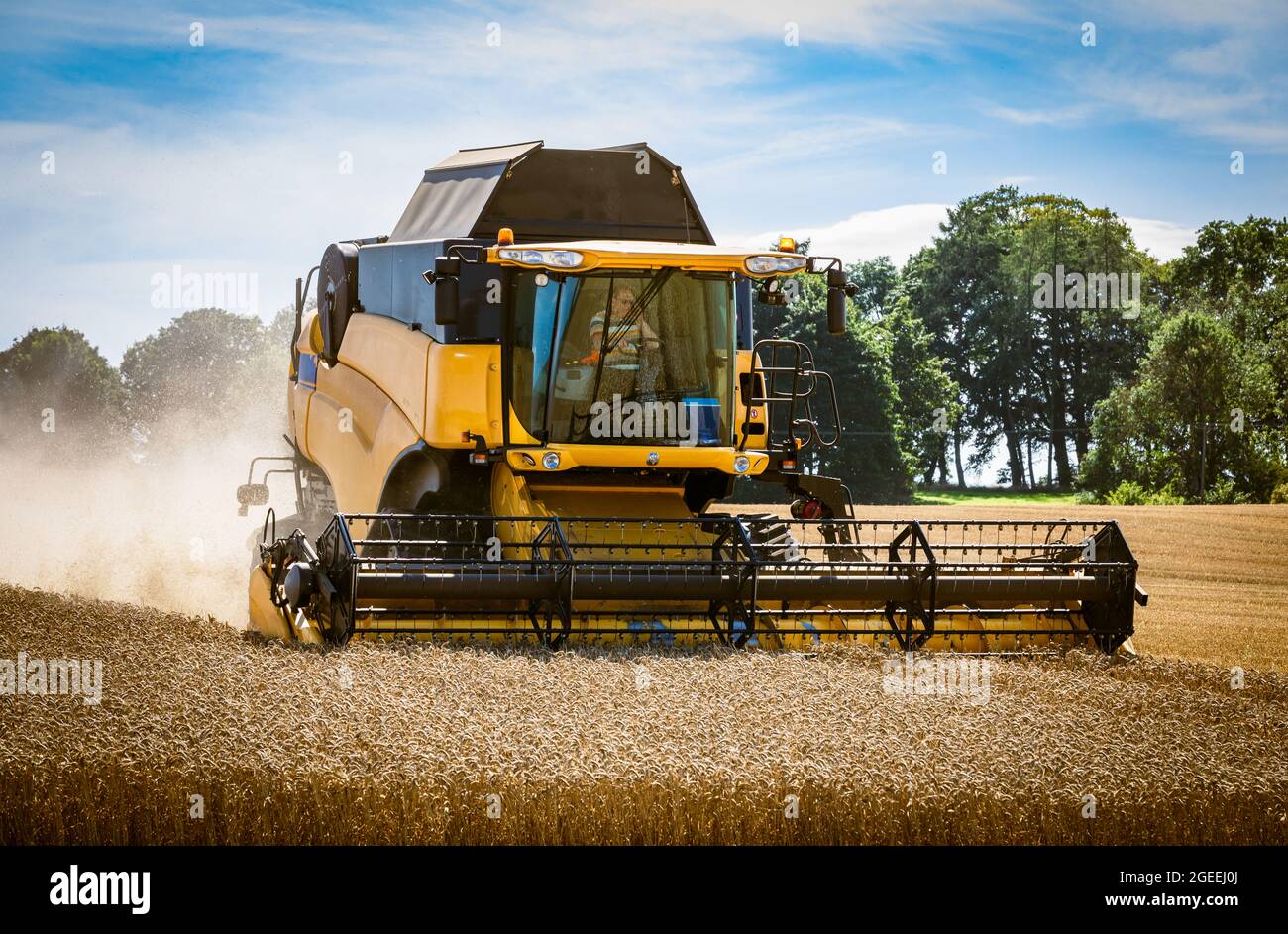 Combine harvester operating in field near Cupar, Fife, Scotland, UK. Stock Photo
