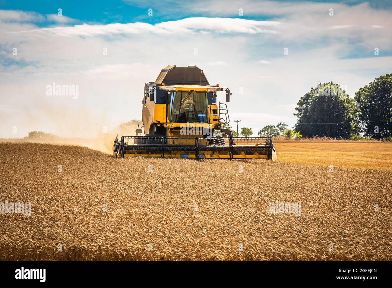 Combine harvester operating in field near Cupar, Fife, Scotland, UK. Stock Photo