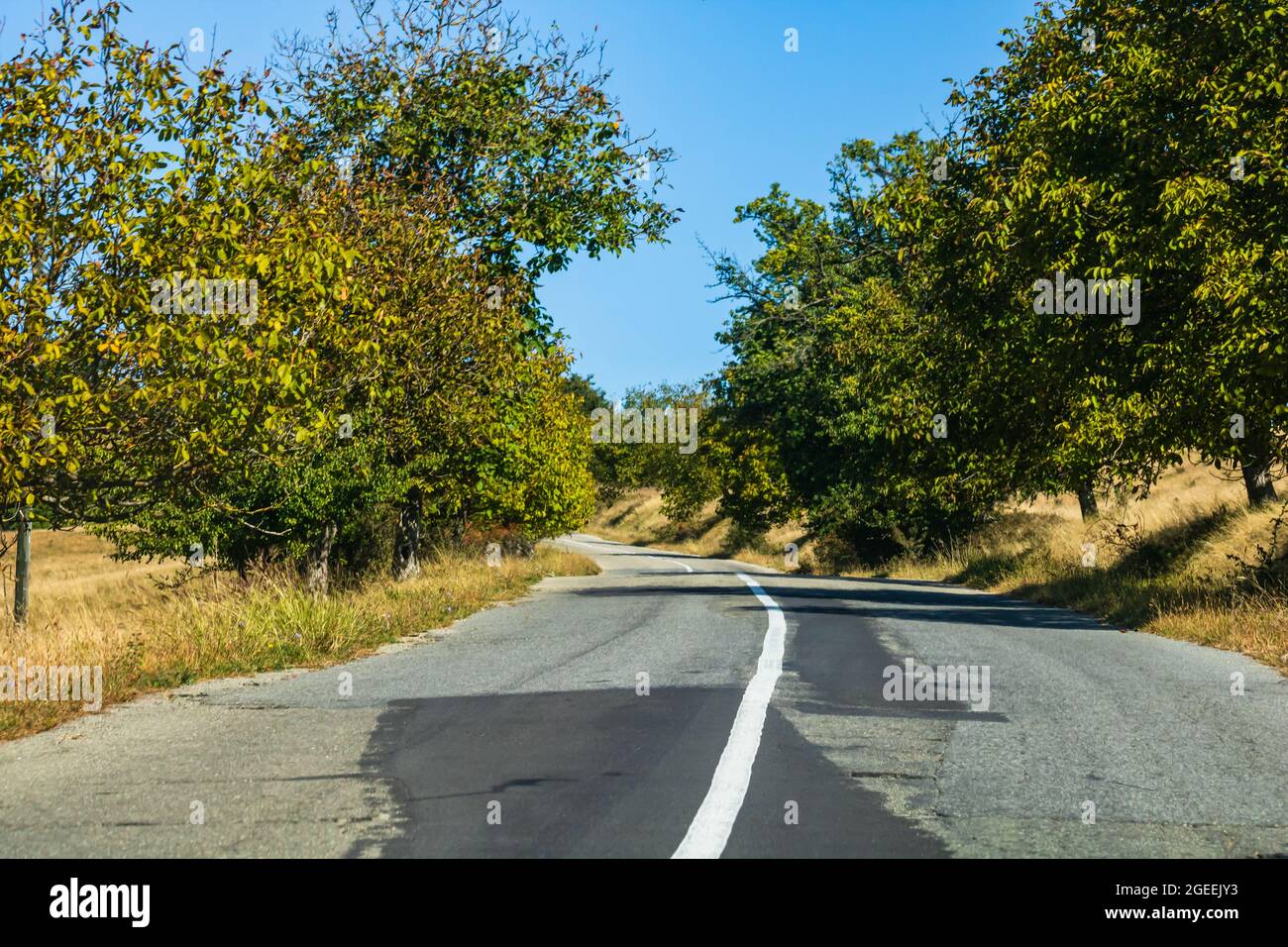 Country road, asphalt street between autumn trees Stock Photo - Alamy