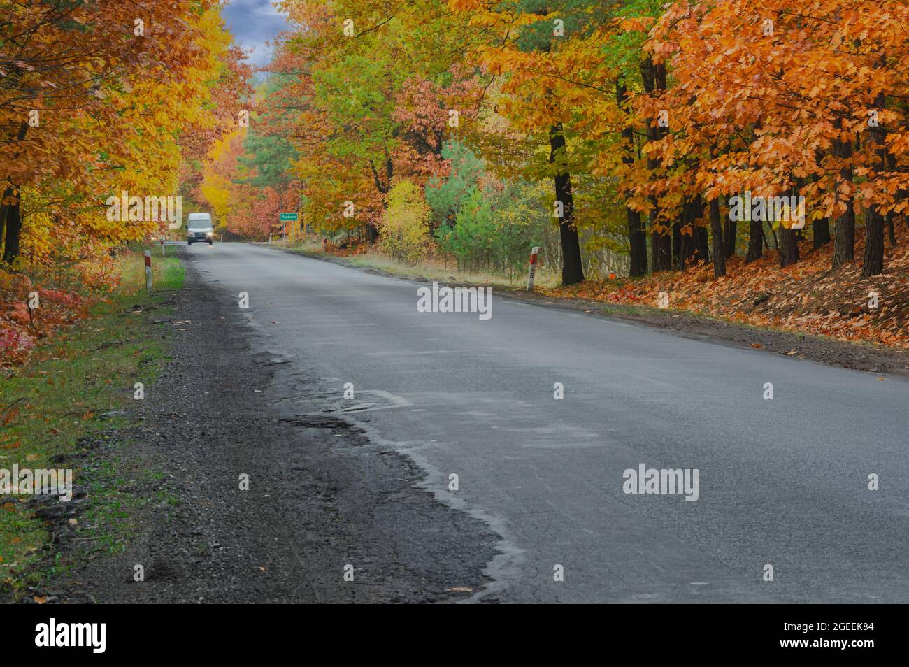Asphalt road in the autumn forest. Yellow leaves on the trees. The ...