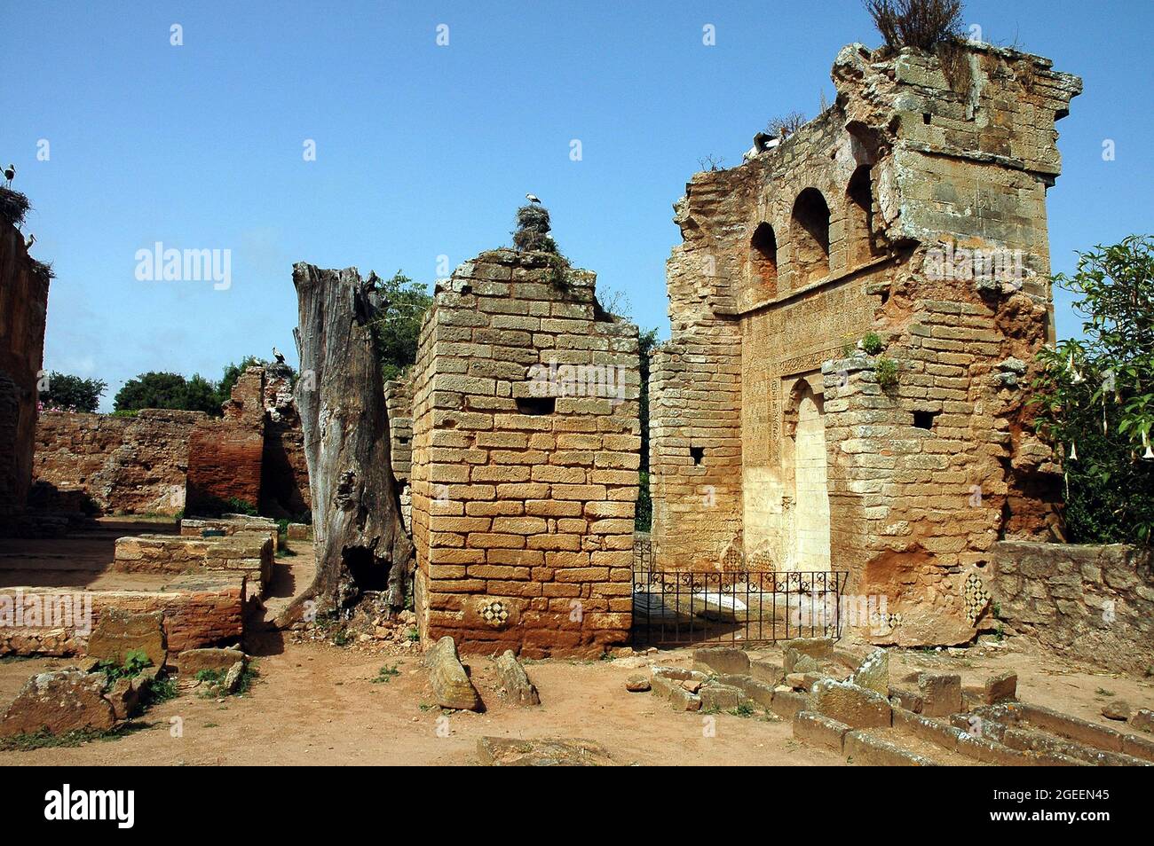 Kasbah Chellah in Rabat in Morocco Stock Photo - Alamy