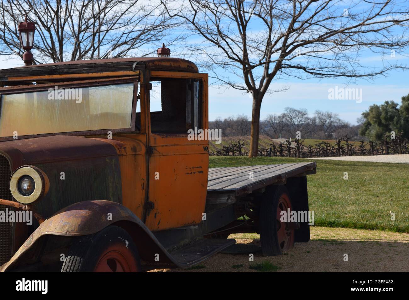 Vintage Truck in a Vineyard Stock Photo