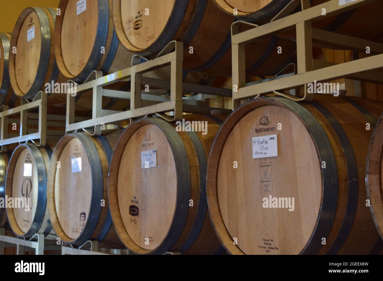 Amador County Wine Barrels Stock Photo