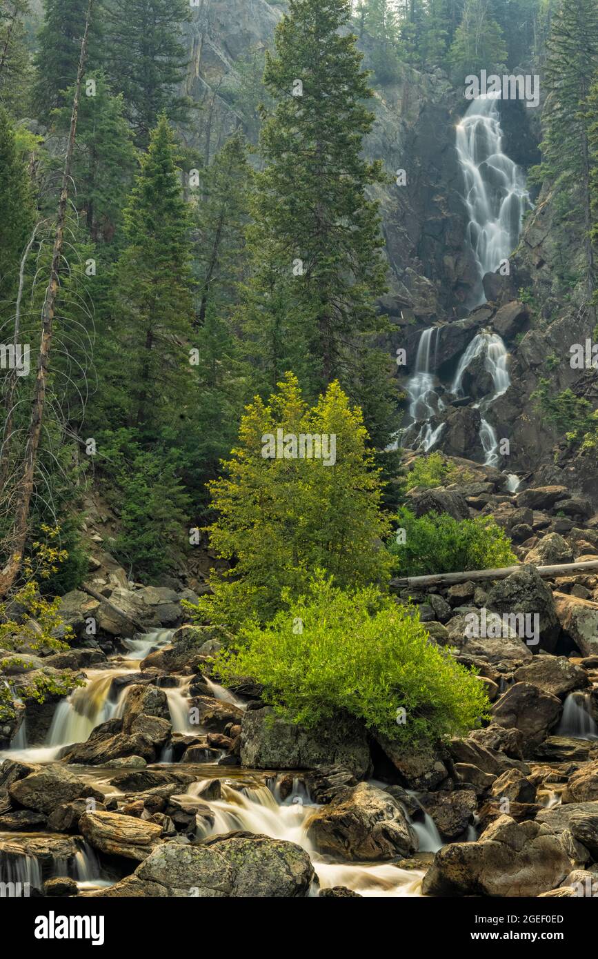 Warm backlight at Fish Creek Falls In Steamboat Springs, Colorado. Stock Photo