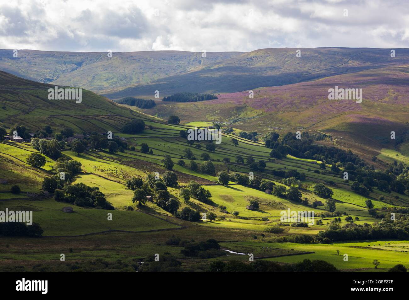 Aerial view of green hills and trees Stock Photo - Alamy