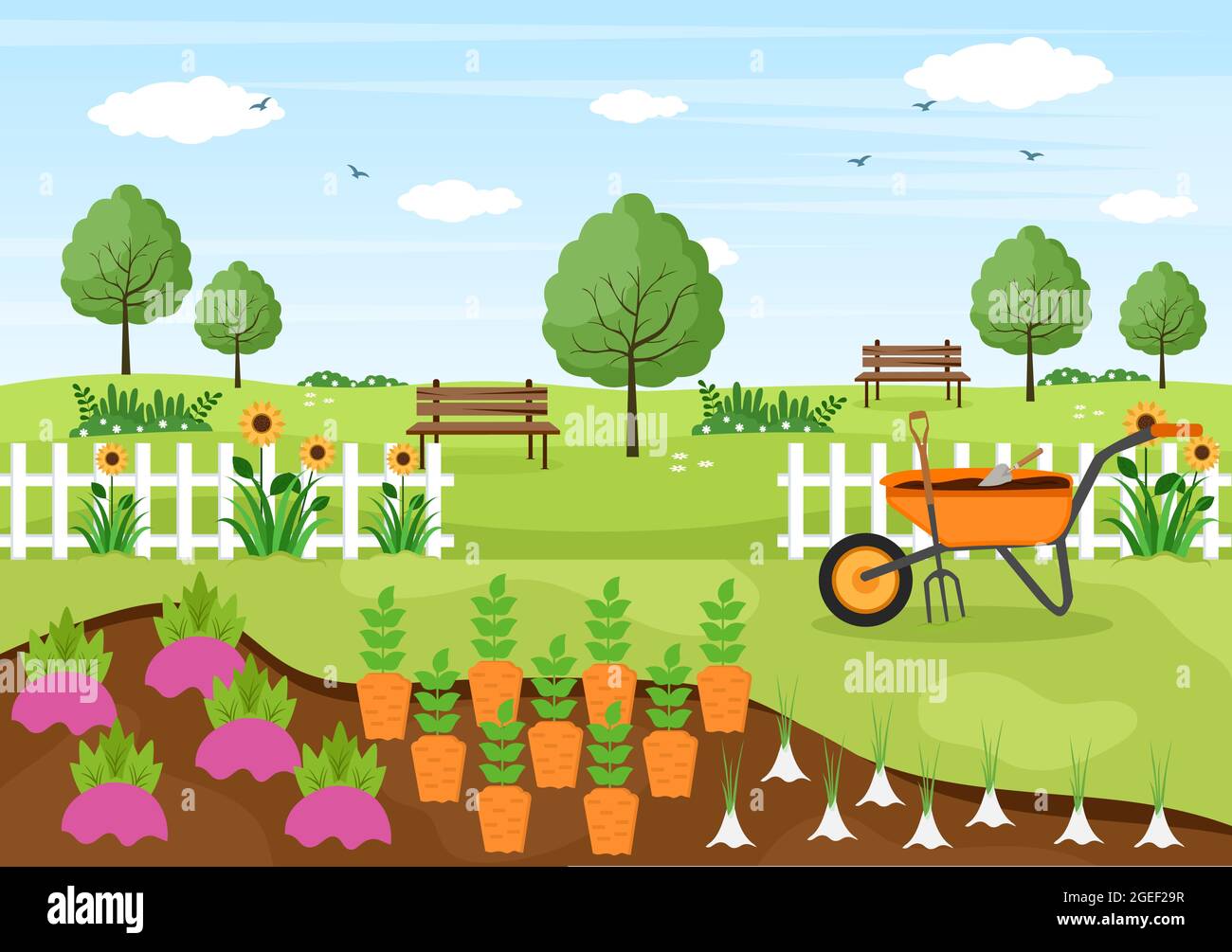Farm Gardener Background Vector Illustration With A Landscape Of Gardens,  Flowers, Vegetables Planted, Wheelbarrow, Shovel And Equipment in Design  Stock Vector Image & Art - Alamy