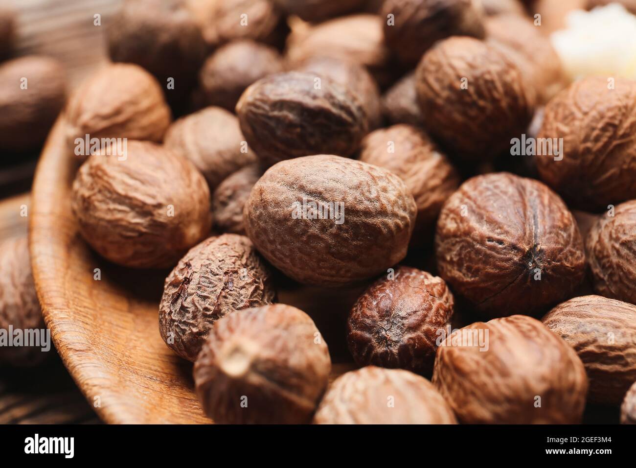 Shea nuts hi-res stock photography and images - Alamy