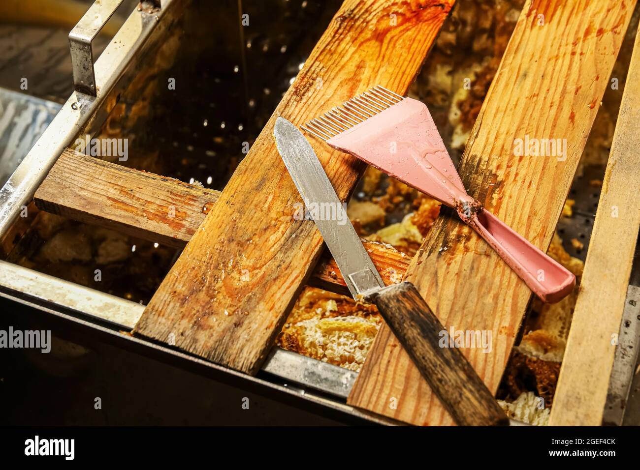 Uncapping table with tools at apiary Stock Photo