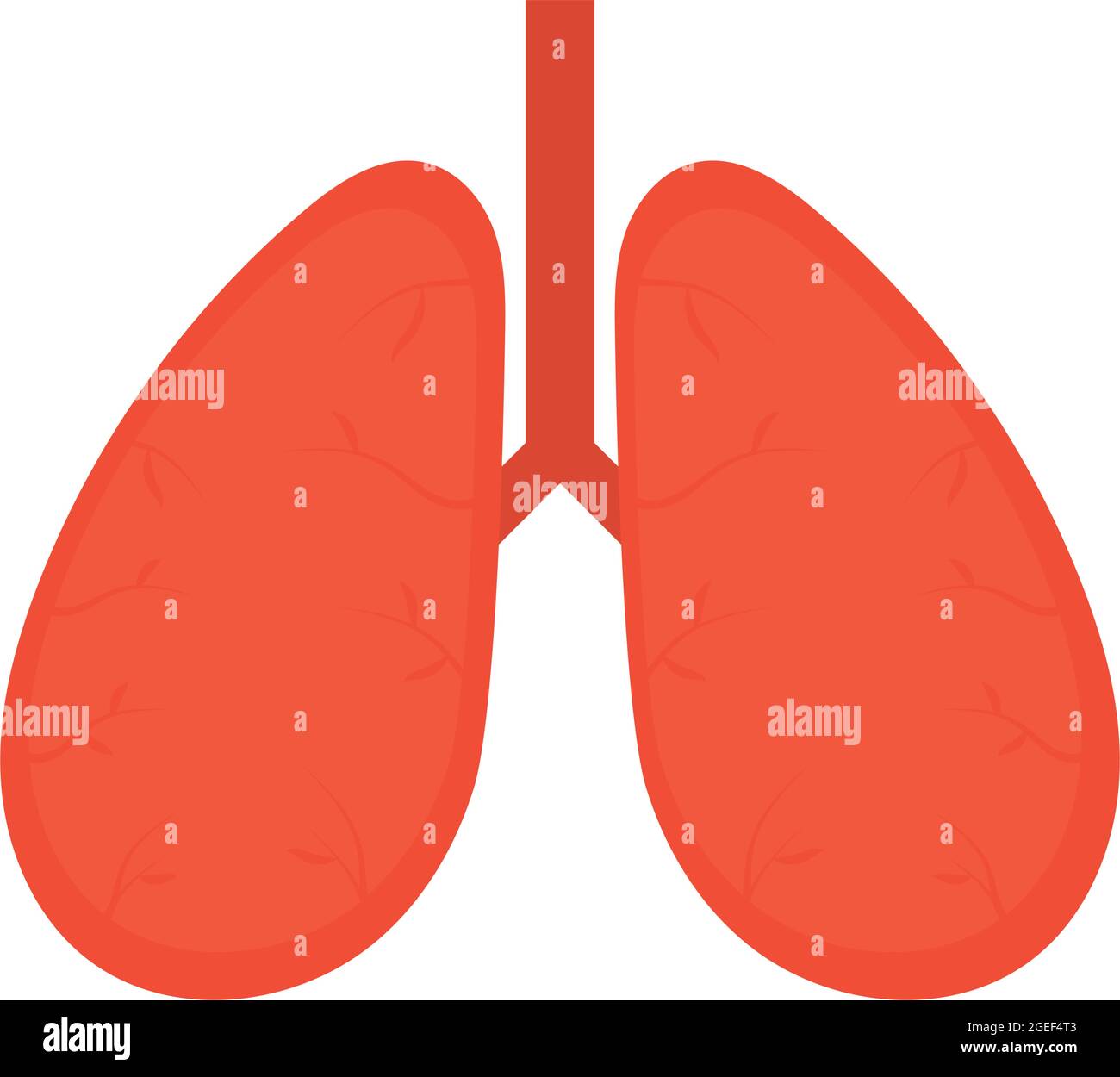 lungs icon on white background Stock Vector Image & Art - Alamy