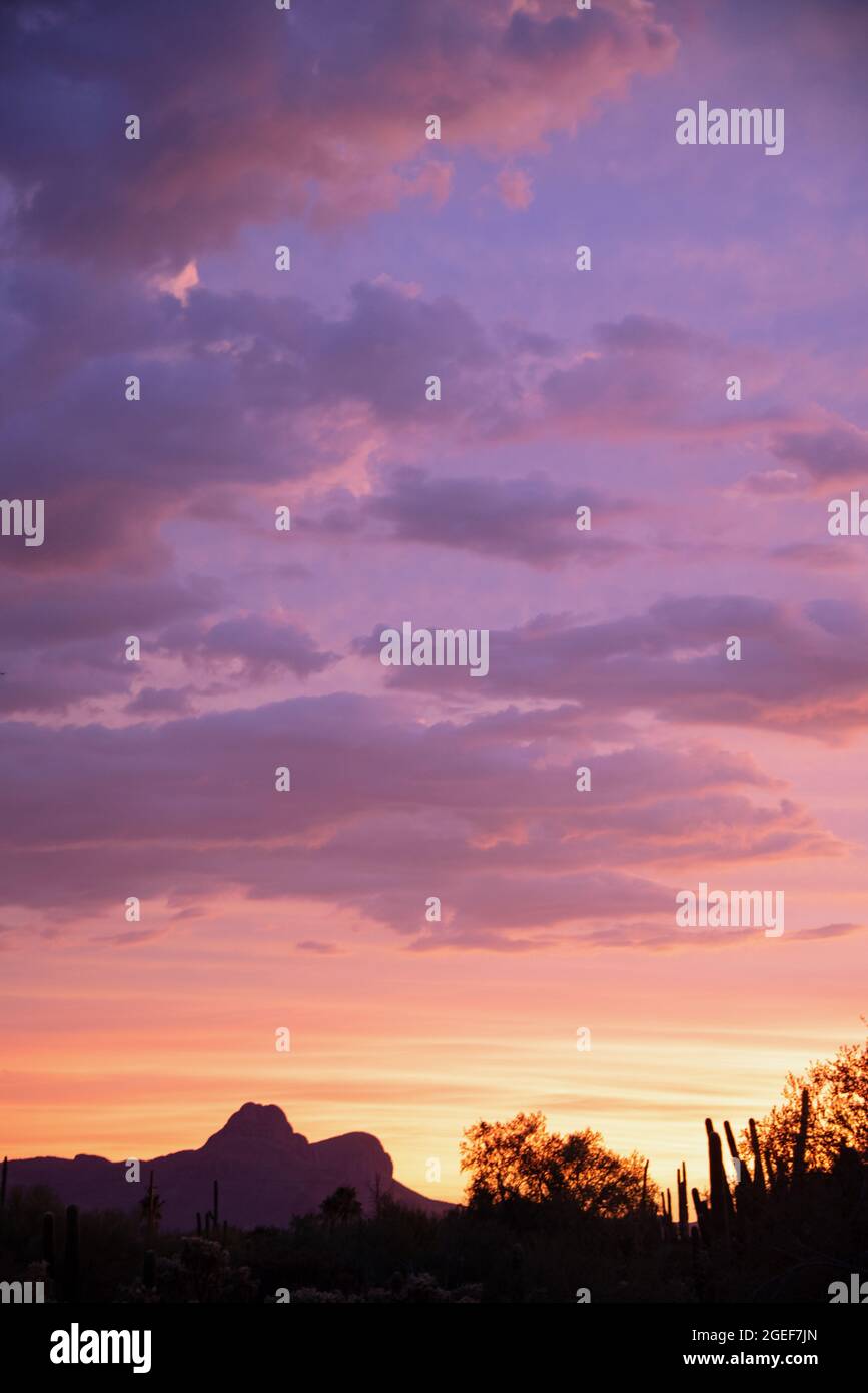 Sunset in sonoran desert hi-res stock photography and images - Alamy