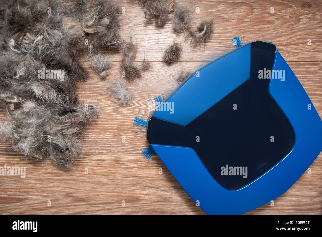 Cleaning robot pet hires stock photography and images Alamy
