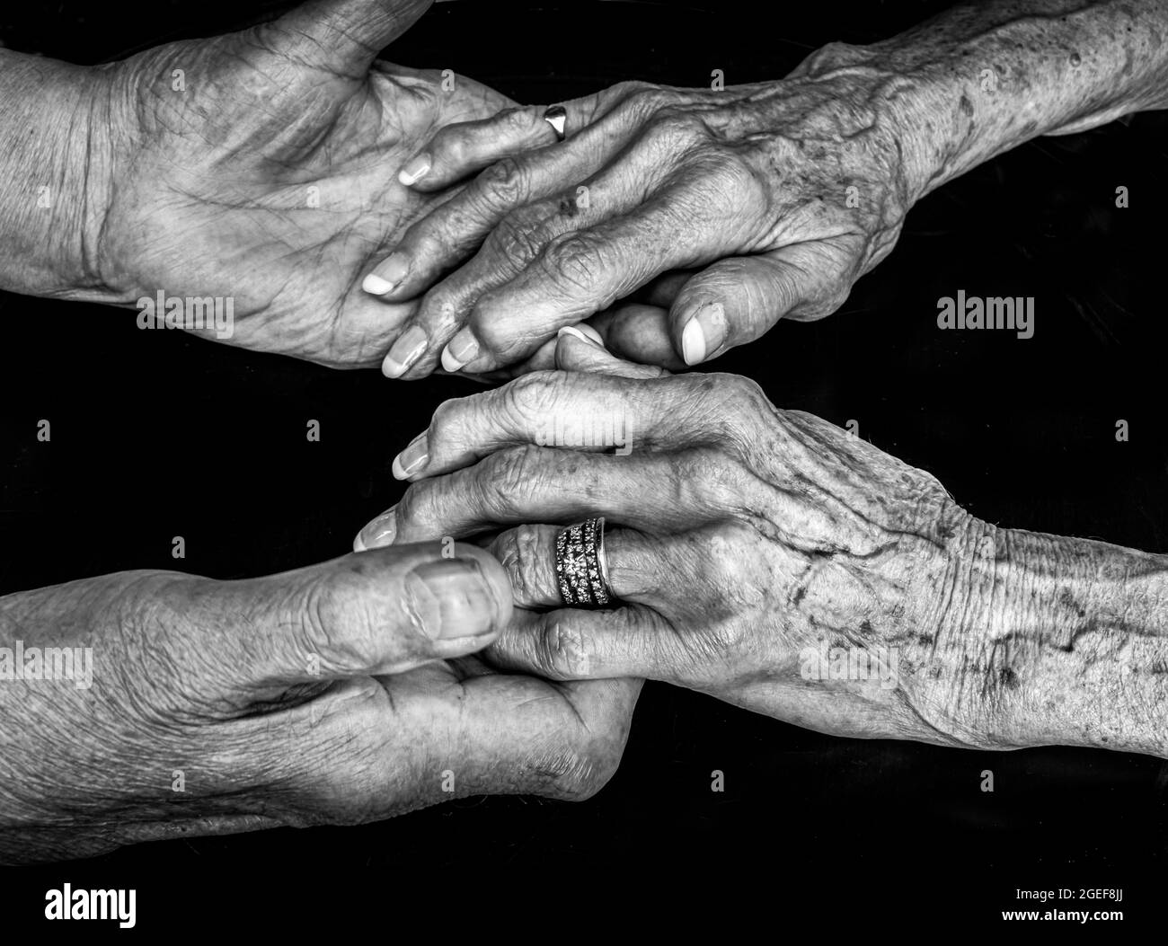 A black and white image of an elderly couple holding hands. The woman is wearing a wedding ring and both appear to have advanced arthritis. Stock Photo