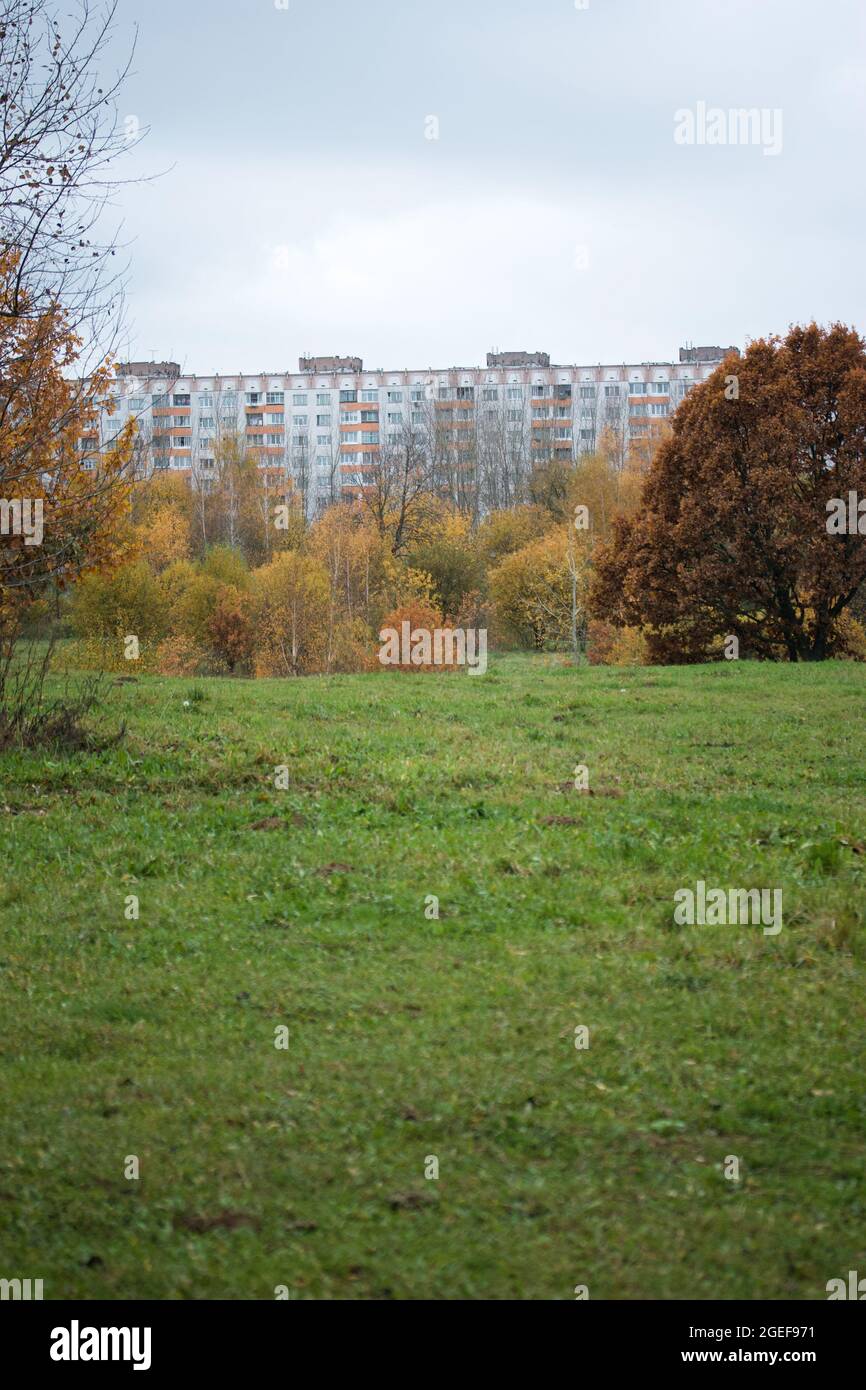 Autumn trees with yellow leaves in the city park. Autumn landscape ...