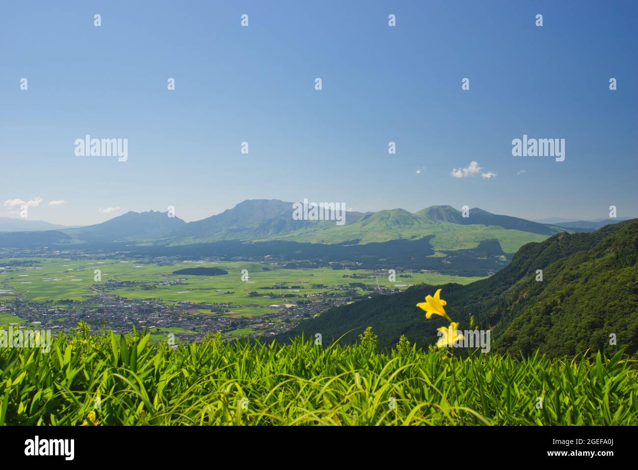 Hemerocallis citrina Baroni var. vespertina and Mt. Aso in Summer, Kumamoto Prefecture, Japan Stock Photo