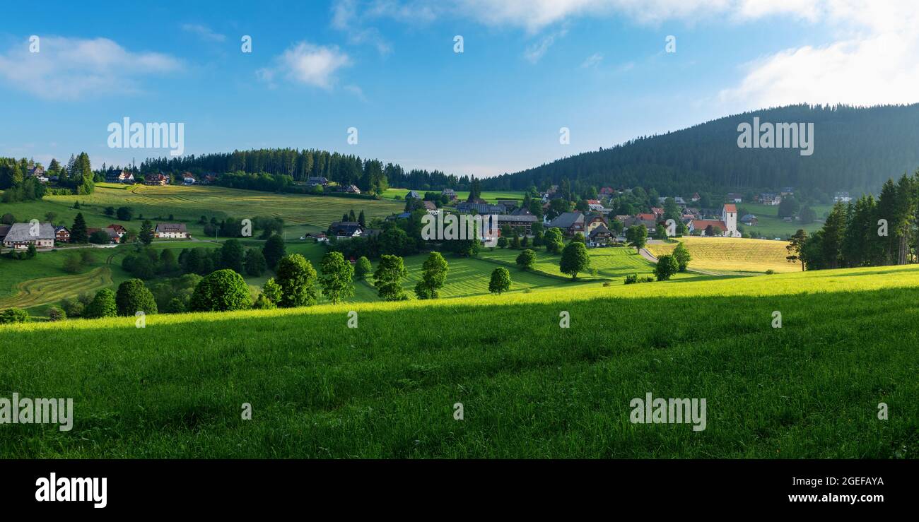 Panorama of the climatic health resort Saig in the morning light, Lenzkirch, Black Forest, Baden-Wuerttemberg, Germany Stock Photo