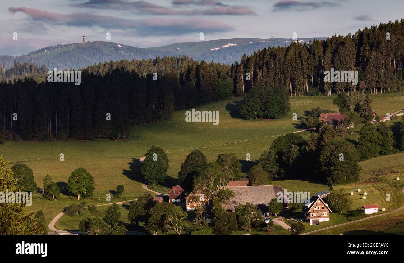 Black Forest farms with a view of the Feldberg, Saig, Lenzkirch, Black Forest, Baden-Württemberg, Germany Stock Photo