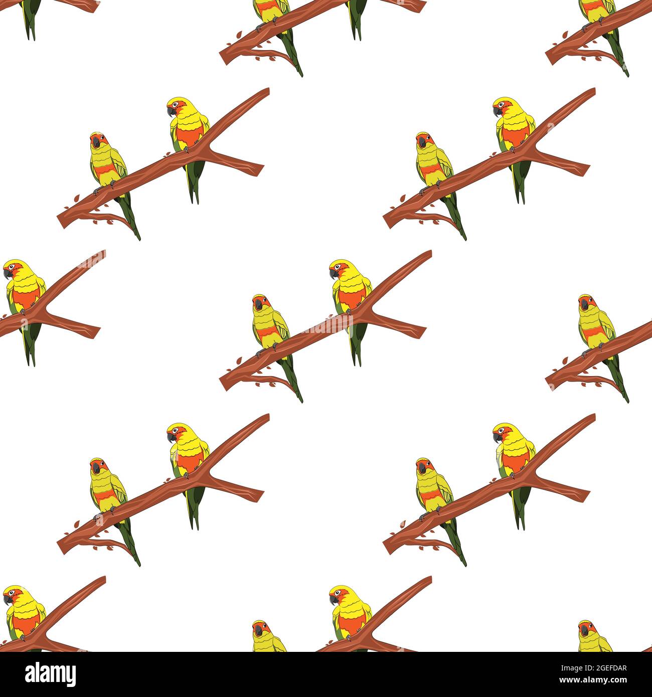 seamless graphics drawing Sun Conure Parrots on a branch of the tree for pattern wallpaper vector illustration for background Stock Vector
