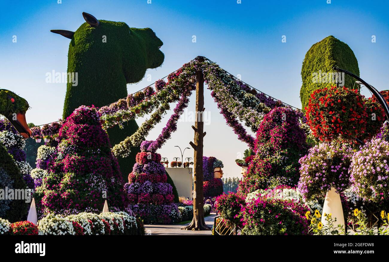 Dubai, UAE 03.06.2020 Flower and landscaping installations in Dubai