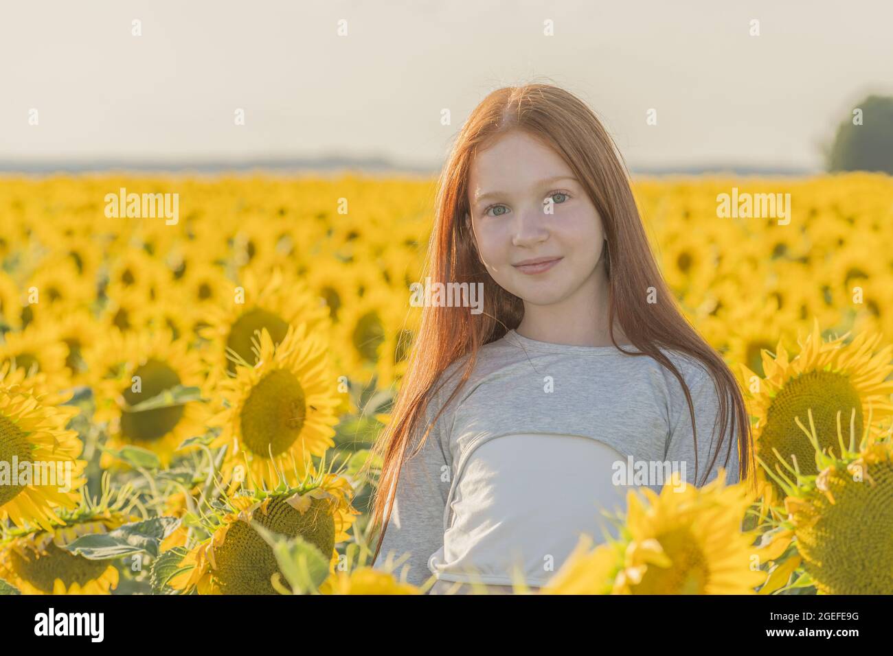 A red-haired young girl stands in the middle of a yellow field of ...