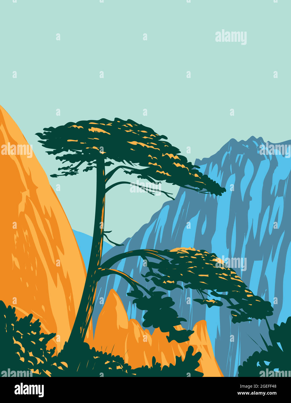 WPA poster art of a Pinus hwangshanensis or Huangshan pine on Huangshan Mountains in southern Anhui Province, Huangshan City, Eastern China done in wo Stock Vector