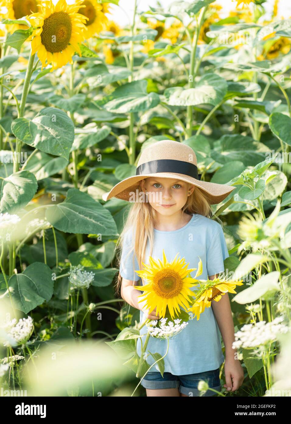 Happy little girl on the field of sunflowers in summer Stock Photo - Alamy