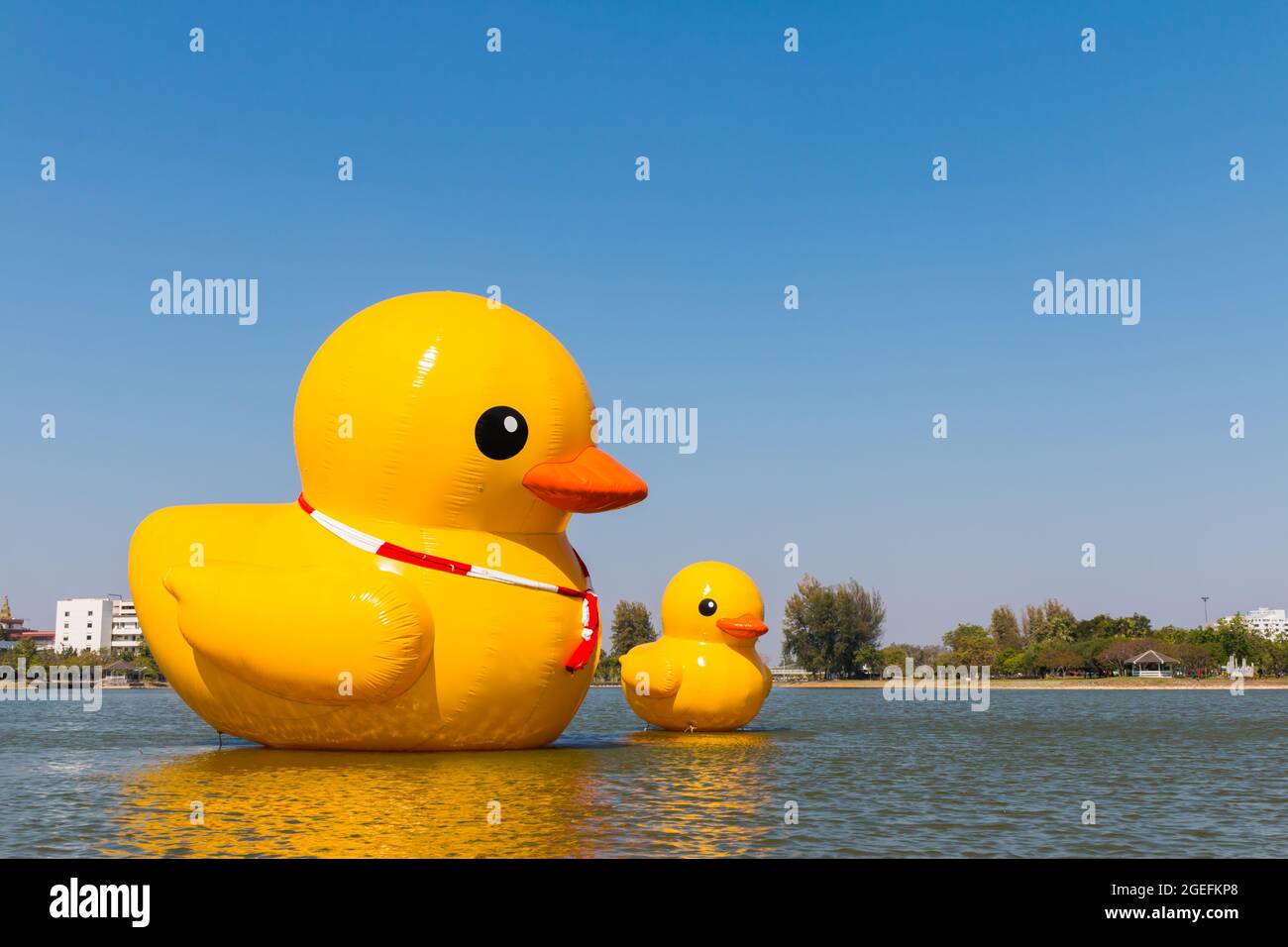 Big yellow duck on the water on blue sky Stock Photo Alamy