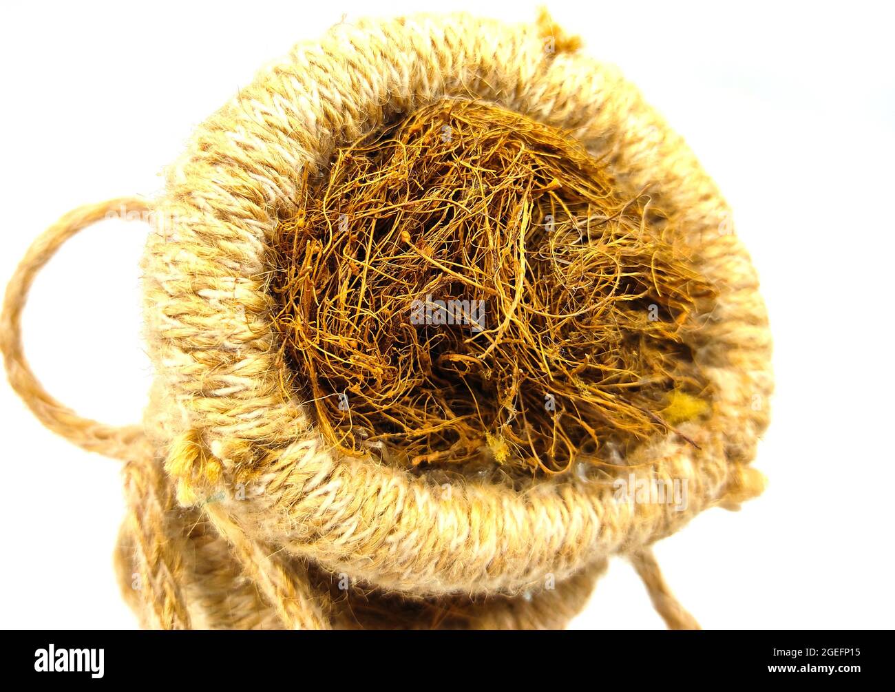 Closeup shot of a raw dried vetiver grass or khus in a bag isolated on