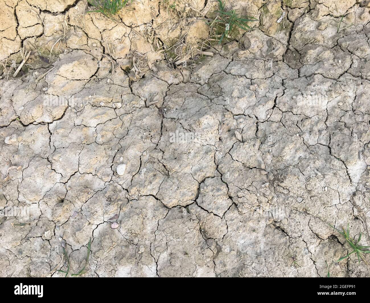 Crack soil on dry season, Global warming effect Stock Photo - Alamy