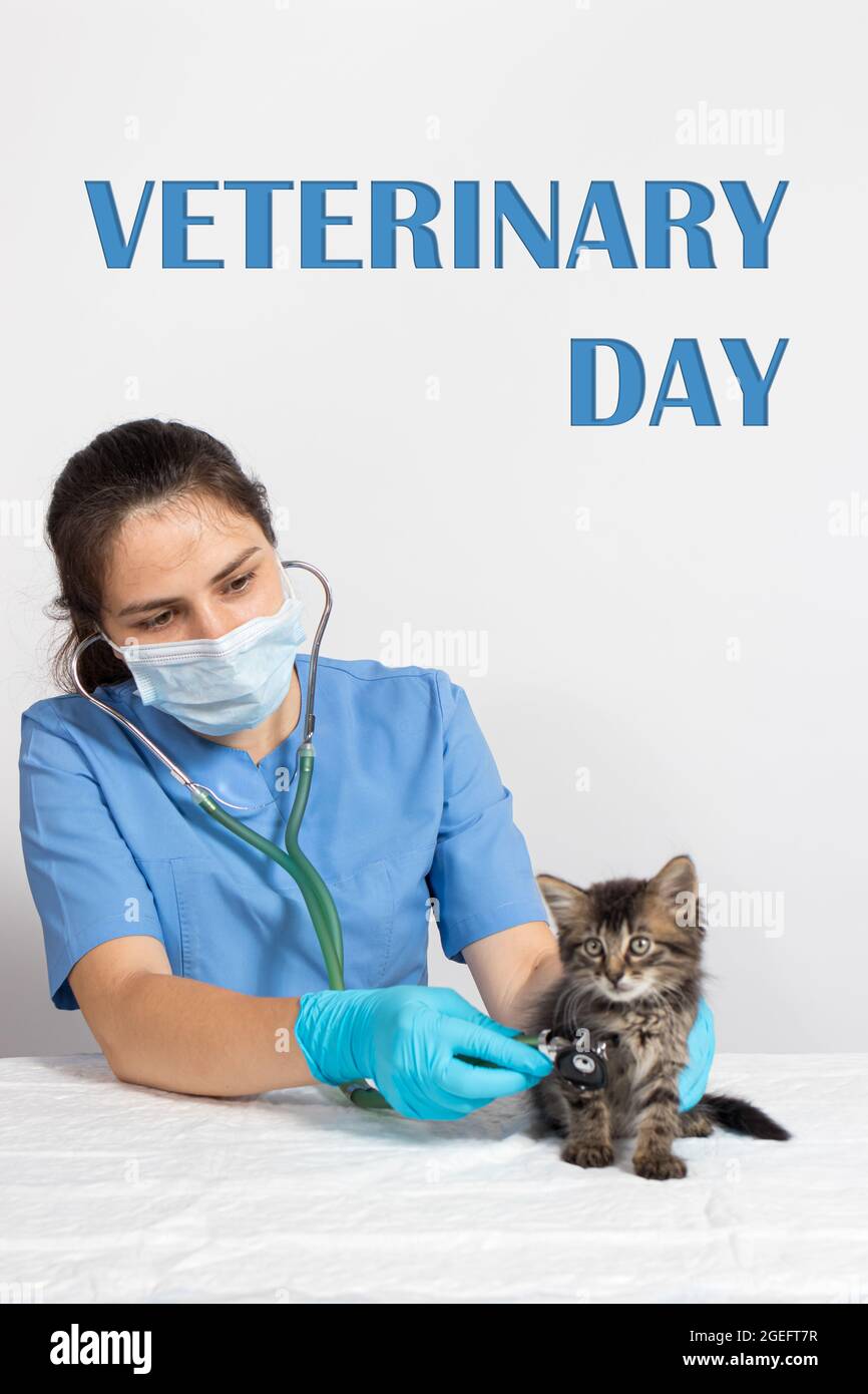Veterinary Day greeting vertical card with text. The veterinarian
