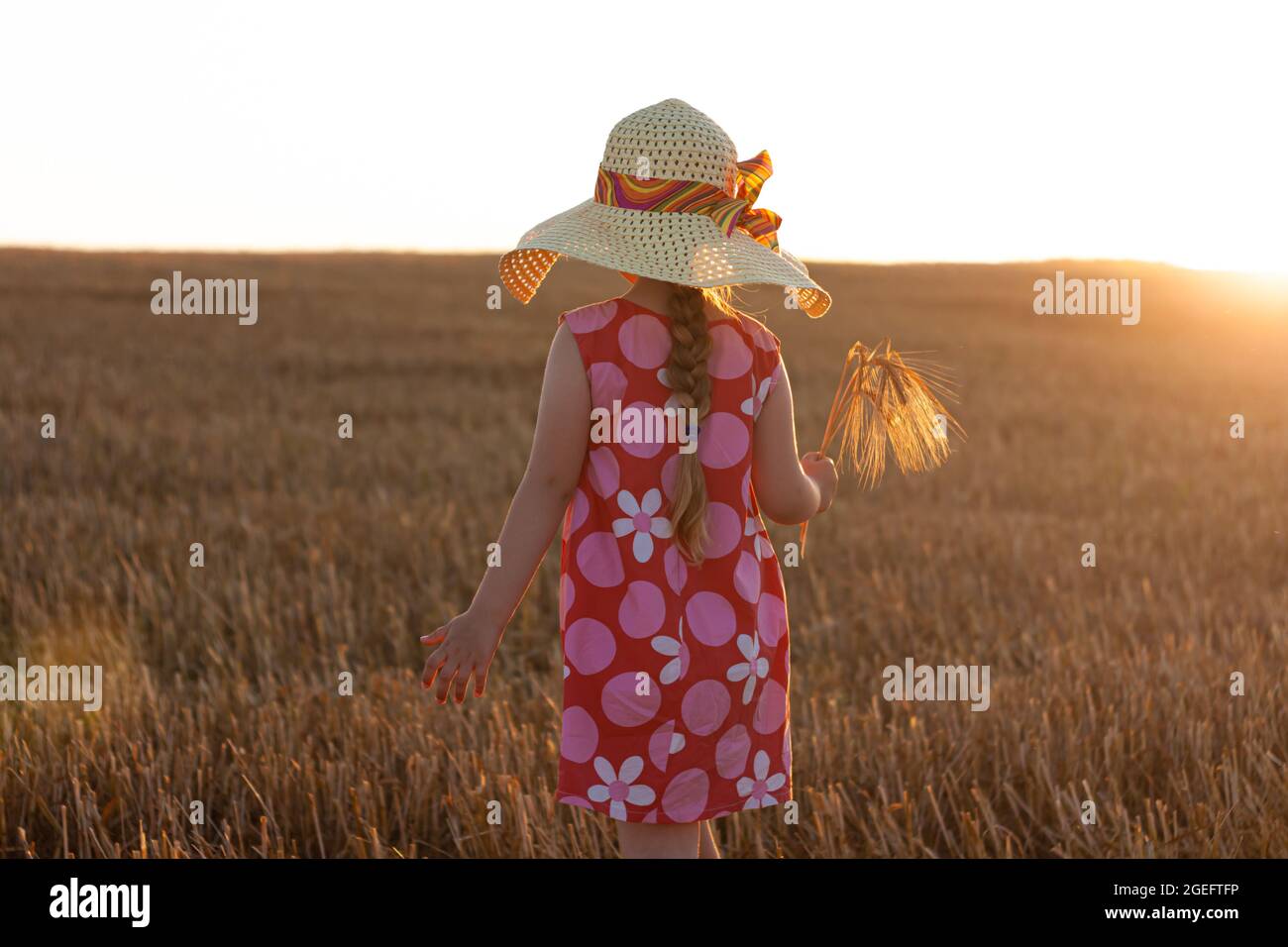 Adorable little girl in a straw hat and pink summer dress in wheat ...
