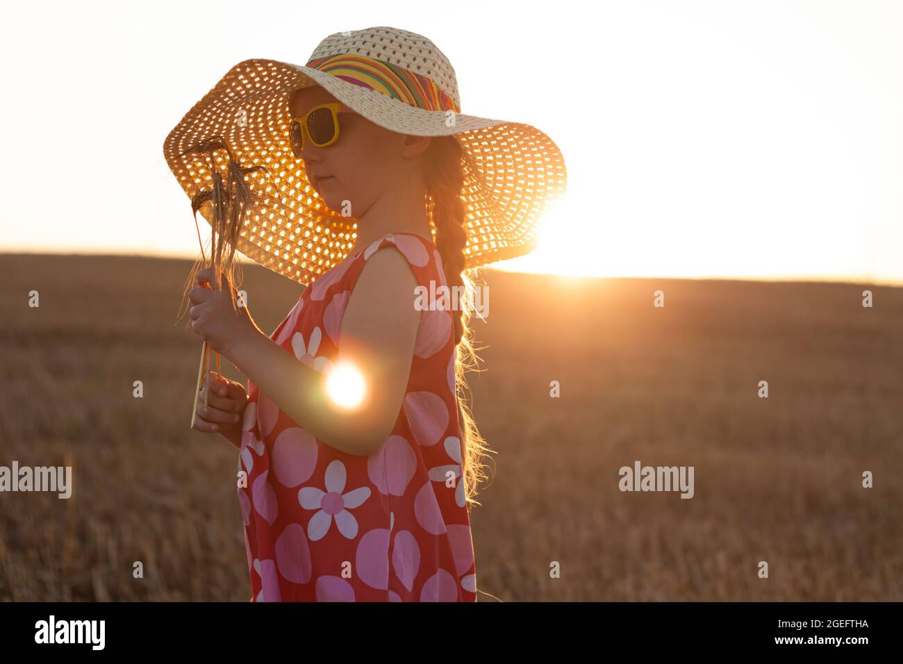 Adorable little girl in a straw hat and pink summer dress in wheat ...